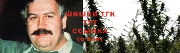 Альфа ПВП Аркадак