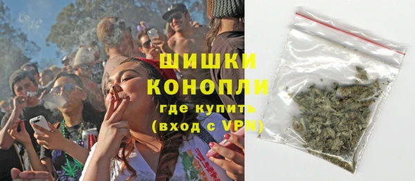 Альфа ПВП Аркадак