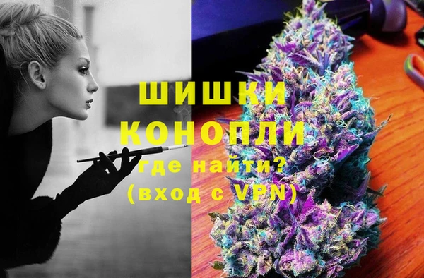Альфа ПВП Аркадак