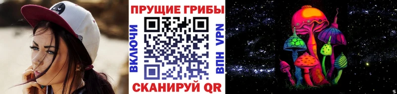 Галлюциногенные грибы Magic Shrooms  Ряжск 